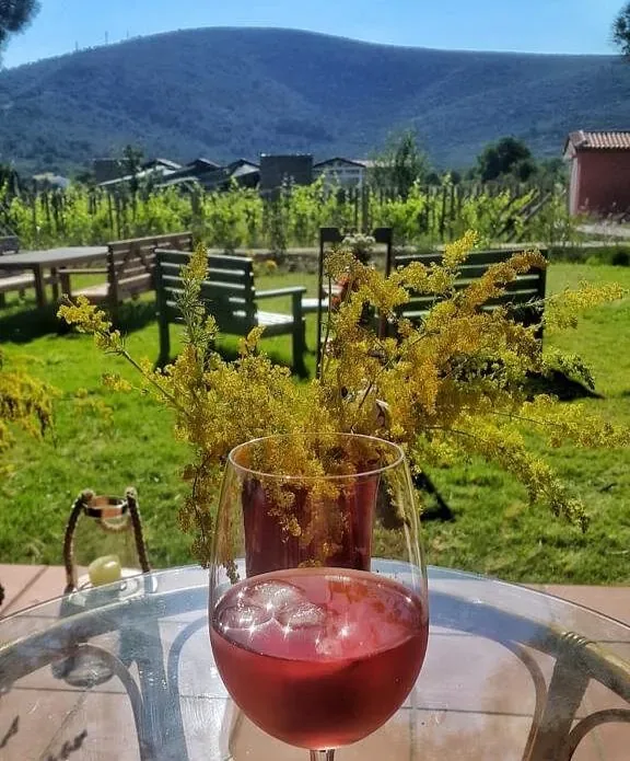 A table and a drink overlooking the vineyard at ION Village